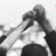 Illustration for article titled What Baseballs Most Famous Brawl Photo emDidnt/em Show You
